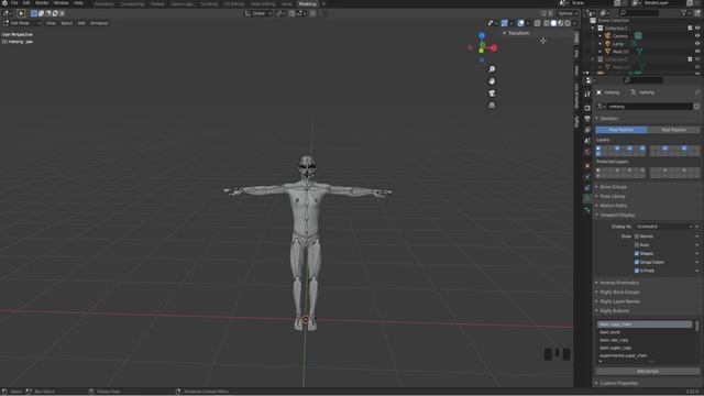 How to create a human Rig in 1 Minute in Blender