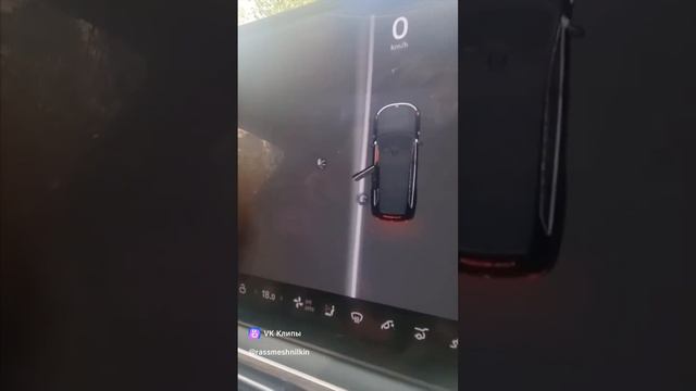 Что вы думаете? Они существуют