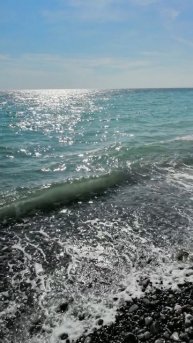 Отдых на море 2025 жилье