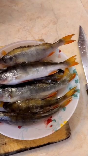 рыбка жареная 💥💥#рыбалка #рыба #вкусно #вкусняшки #елец #окунь