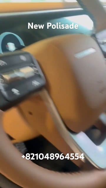 Новый Полисейд 2025 | Encar export #encarexport #автоизкореи #машиныизкореи #автоподзаказ #экспорт