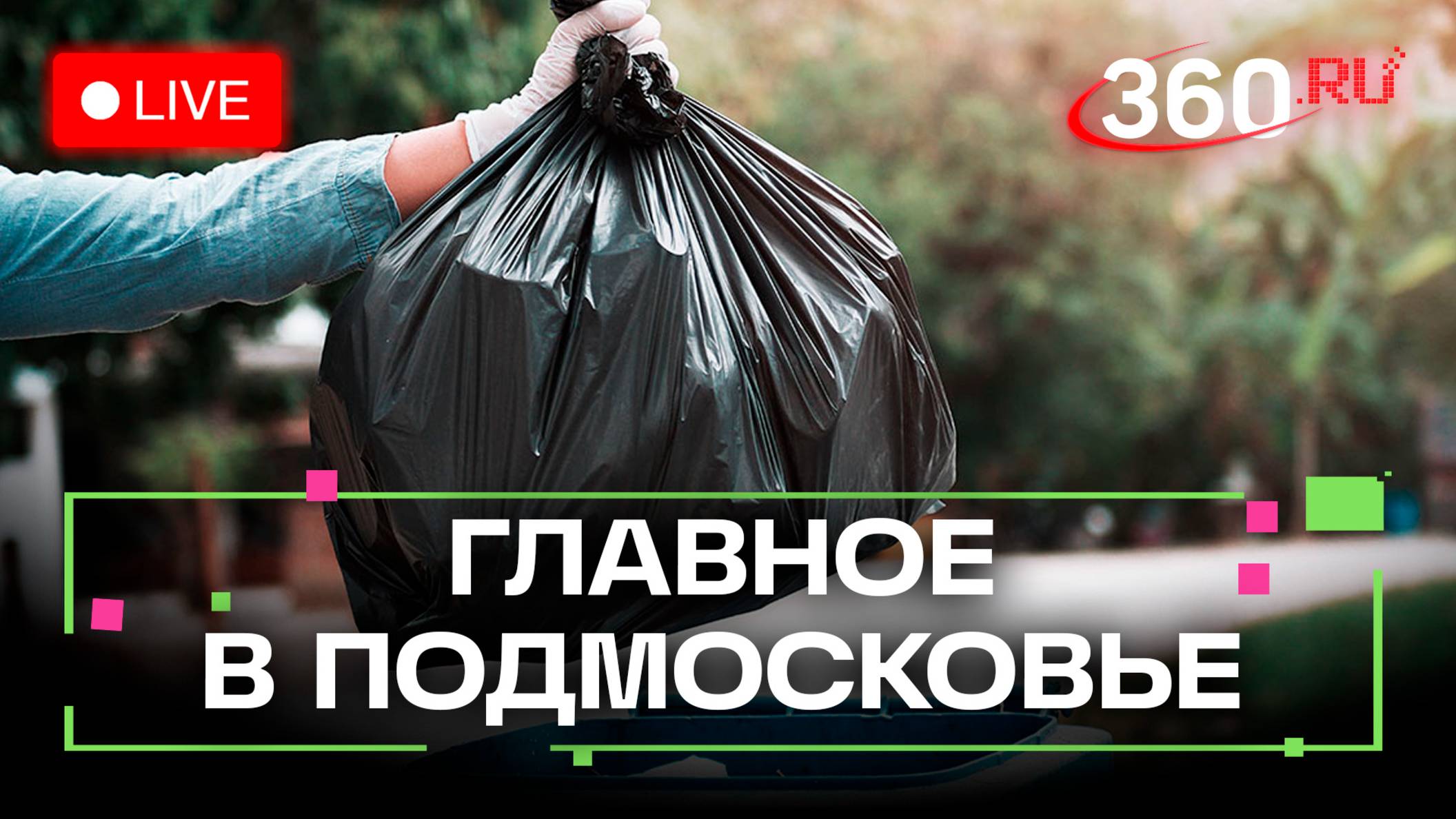 Как спасти лесной фонд от мусора? «Коммунальная Одиссея» в Коломне. Главное в Подмосковье