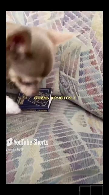 Ниночка читает