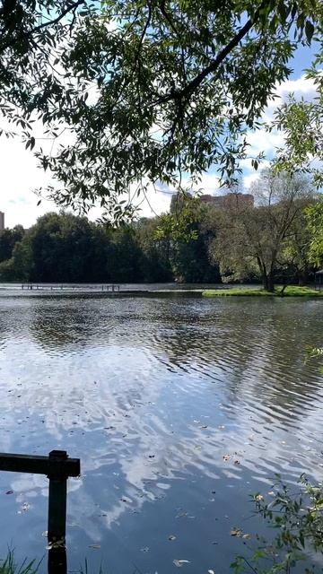 Город Троицк, р.Десна, в живописном парке одноименной зоны отдыха.