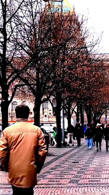 Моменты, запечатленные на камеру