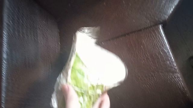 1000113800.mp4