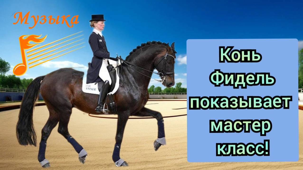 НАСТОЯЩАЯ выездка лошади!