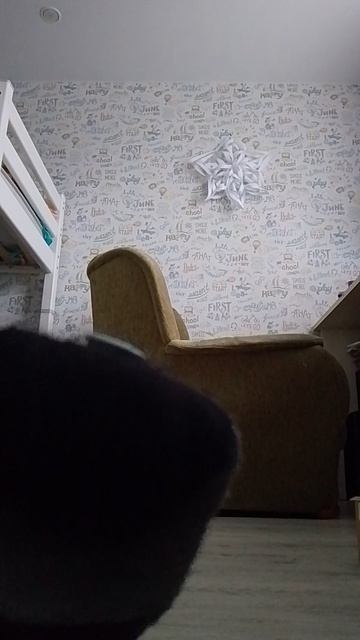елин и House cat