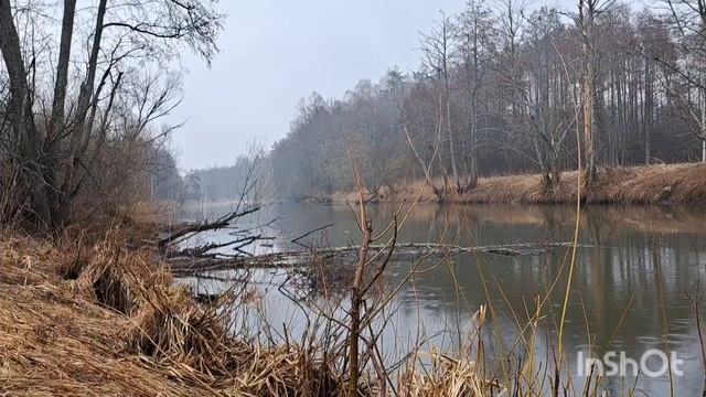 Прогулка по лесной реке в марте