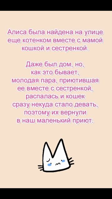 💗 Очень ласковая кошечка Алиса ищет дом! 🏡 🐈