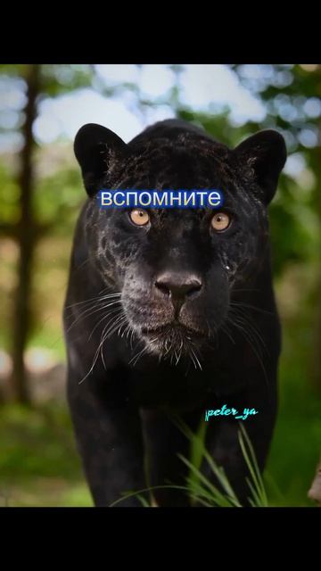 Прежде
#цитаты