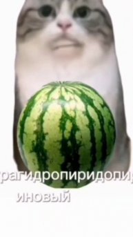 Теоарввоатлклкклаллвввалкщл.лалвввлалшалшаа