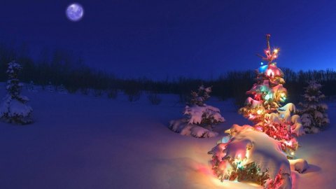 С Наступающим Новым Годом !