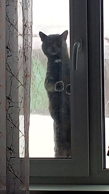 Домой