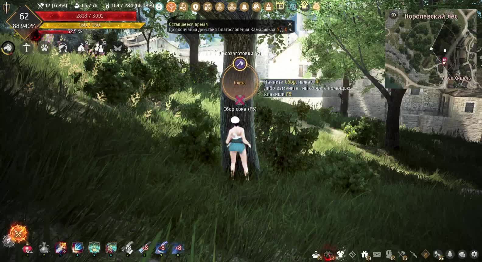 Black Desert