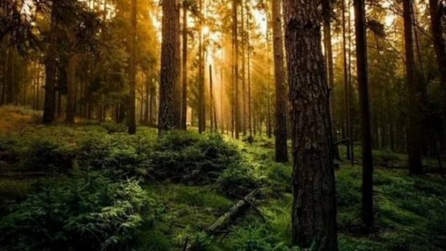 Внимание, новость!!! Релакс звуки.