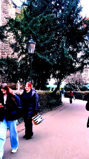 Зафиксировано объективом