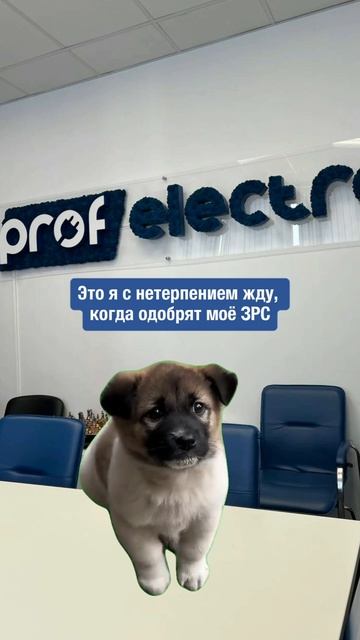 Это я с нетерпением жду, когда одобрят мою ЗРС 🤗