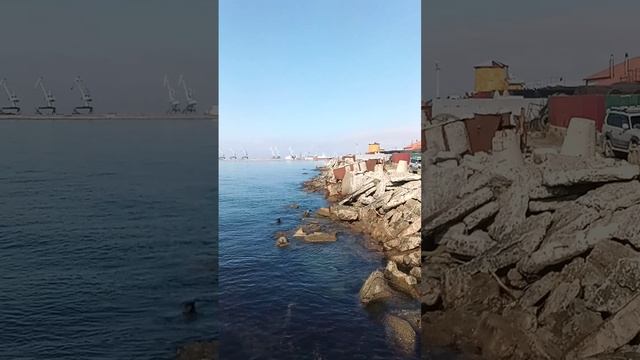 VID_20241030_131010.mp4