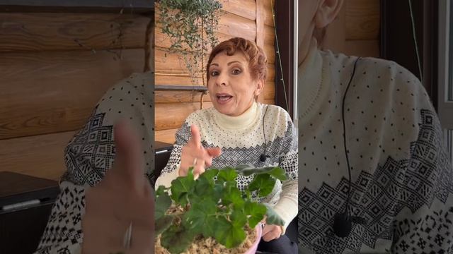 Формируем ПЕЛАРГОНИЮ ПРАВИЛЬНО!