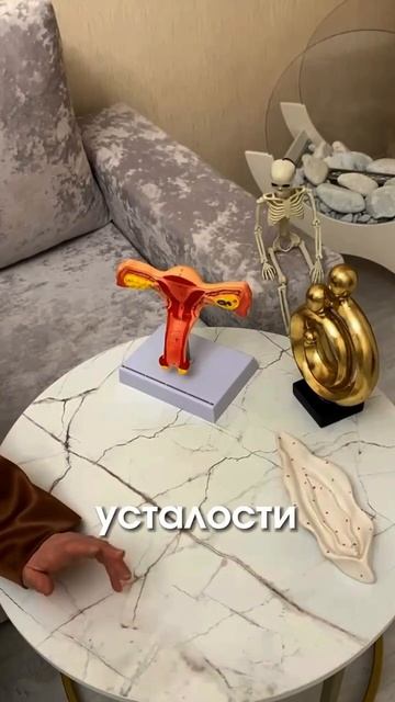 Какие бывают виды усталости🔼