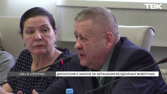 Закон об эвтаназии бездомных животных: мнения «за» и «против»