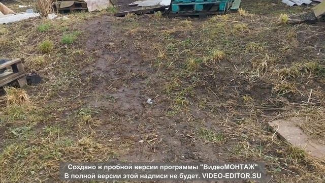 6 марта ветренная погода, но пчелки летают))