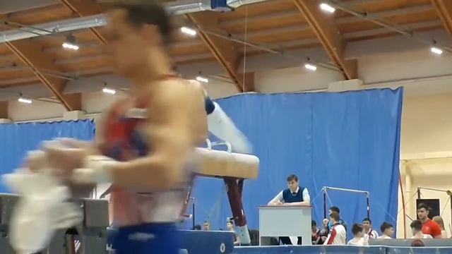 Lukashov Pavel - Pommel Horse - CIII - PFO 2020
