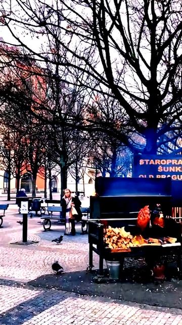 Секунды, зафиксированные камерой