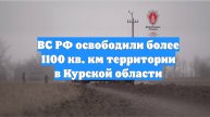 ВС РФ освободили более 1100 кв. км территории в Курской области