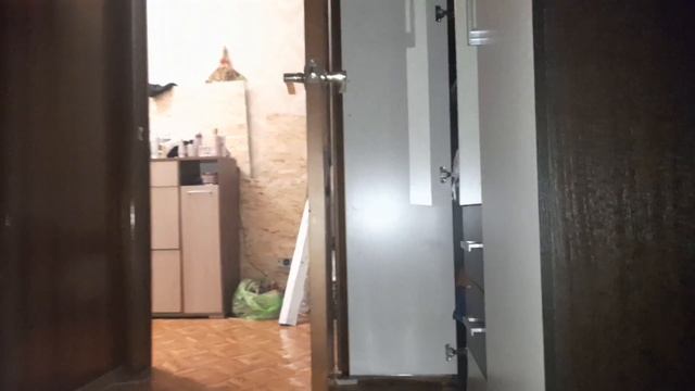 Собака просится в туалет. Дрессировка собаки на выдержку