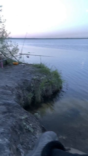 Мое лето🌞🌞🌞