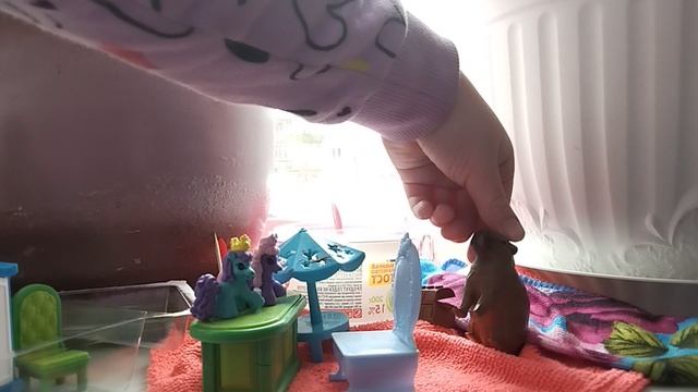 жизнь кэппи