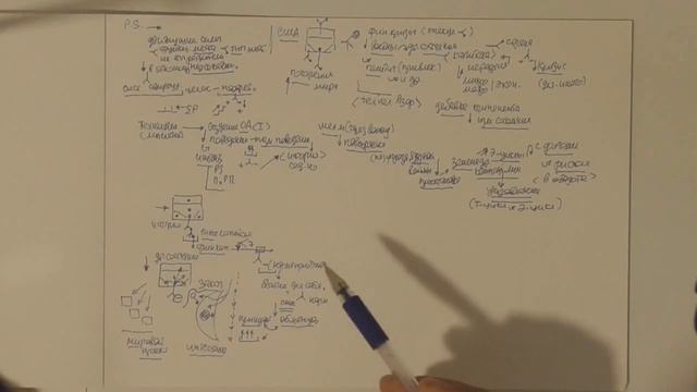 ММПК ОСА МТШ Динамика заказчика  Трансформация страны  Мировой проект  Мировая война