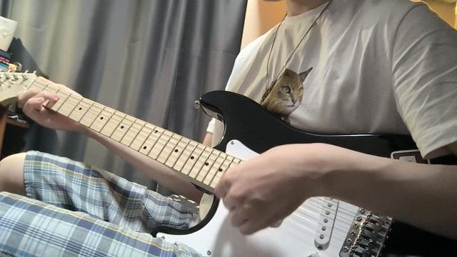 Fabio stratocaster тремоло