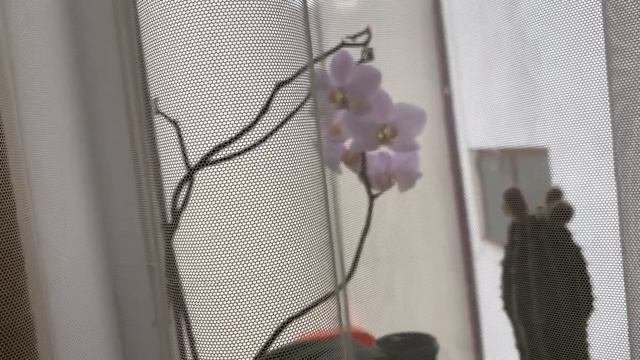 За день успела много чего поделать, выходные как и обычные денёчки, в суете и приделах ❤️