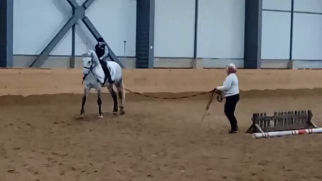 Ну вот как бы я и на тренировке😅🐴🐴🐴🐴👈