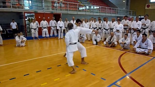 Shihan Masaru Miura 9 dan, Karate do seminar part 6