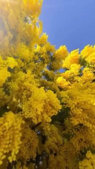 Природа впечатляет яркими красками 🤩