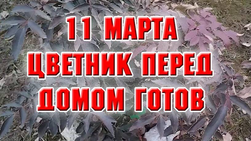 11марта. Цветник перед домом готов