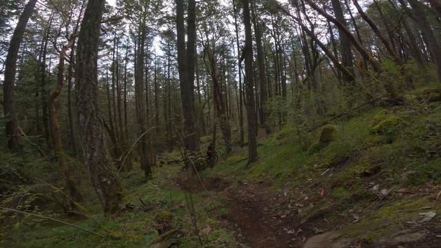 Small Crack, Big Challenge: Riding the Carbon LCFS947 on Tough Terrain