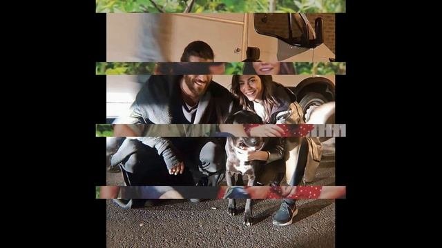 Demet Özdemir's Shock Request From Can Yaman Surprised Not Only Can But Everyone