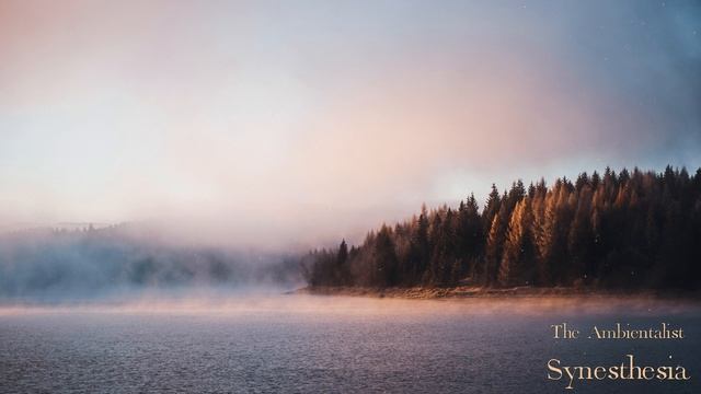 The Ambientalist GIF