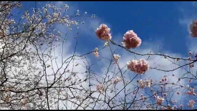 Анатолий Кулагин - Весенняя Капель