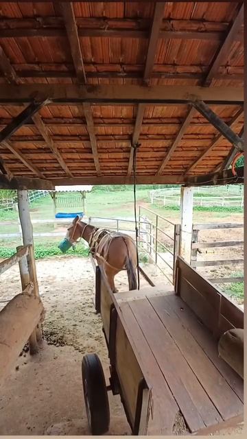 😁🐴Профессиональная парковка.

Не все люди умеют парковаться так быстро и идеально, лошадка молодец