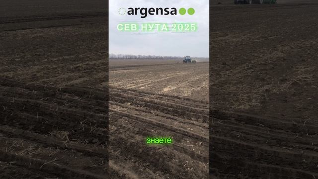 13-03-2025 Сев нута 2025