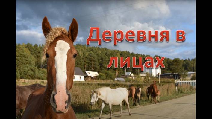 Новососедово. Деревня в лицах.
