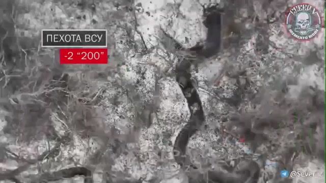 Российские бойцы уничтожили группу снабжения ВСУ под Часов Яром