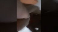 Распаковка гераскутер