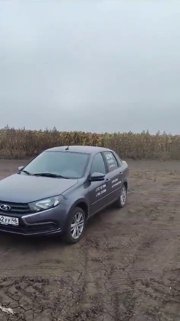 Приехали на обработку подсолнечника дронами к клиенту из Воронежской области.